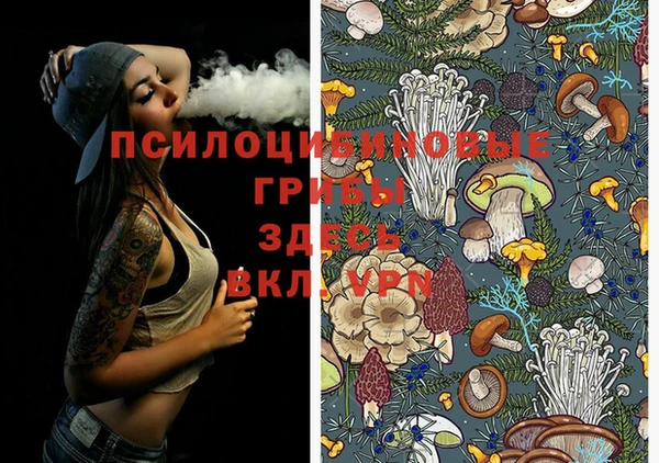 хмурый Новокубанск