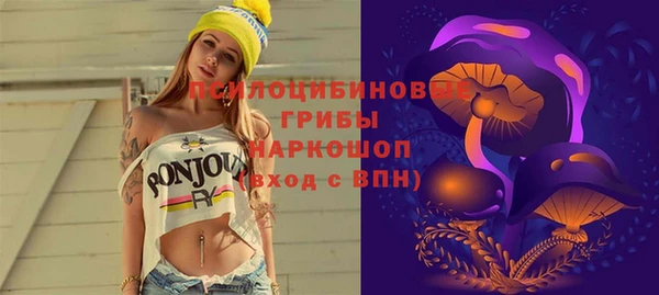 спайс Новодвинск