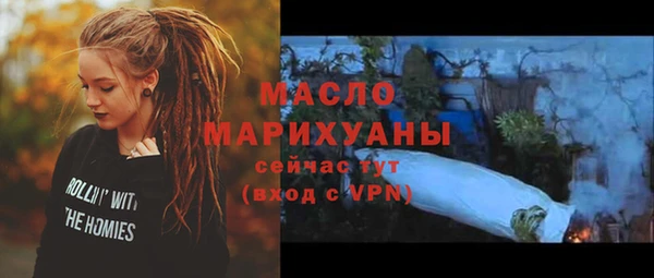 дурь Няндома