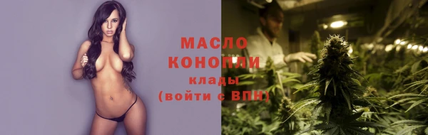 дурь Няндома