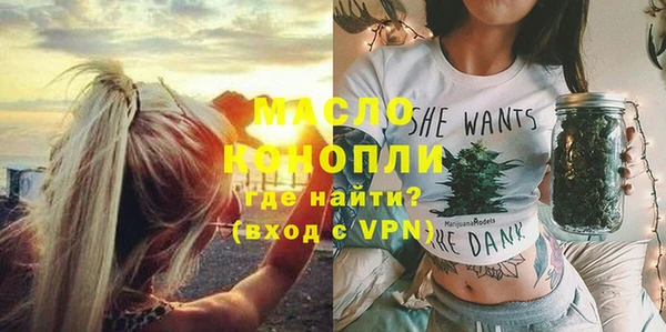 дурь Няндома