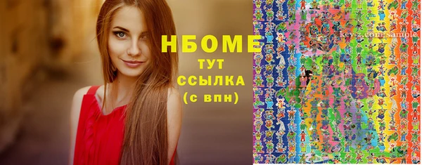 дурь Няндома