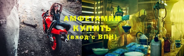 шишки Дмитровск