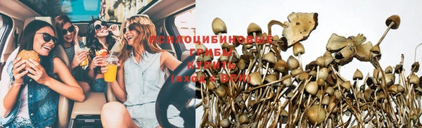 спайс Новодвинск