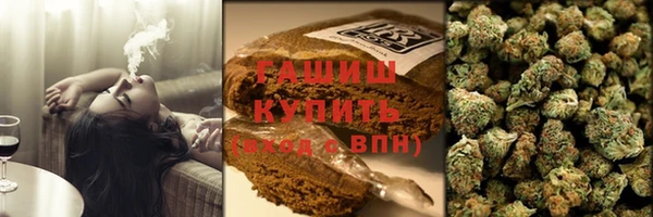 дурь Няндома