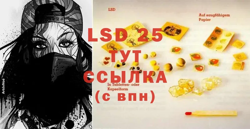 продажа наркотиков  Прохладный  Лсд 25 экстази ecstasy 