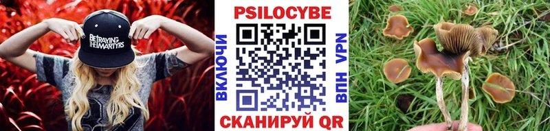 Псилоцибиновые грибы Magic Shrooms  Прохладный 