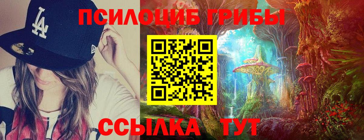 Прохладный  цена наркотик  Вход с VPN  Галлюциногенные грибы Psilocybe 