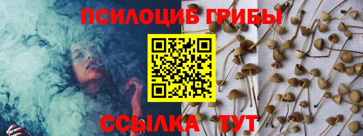 Галлюциногенные грибы MAGIC MUSHROOMS Прохладный